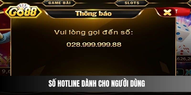 Số hotline dành cho người dùng